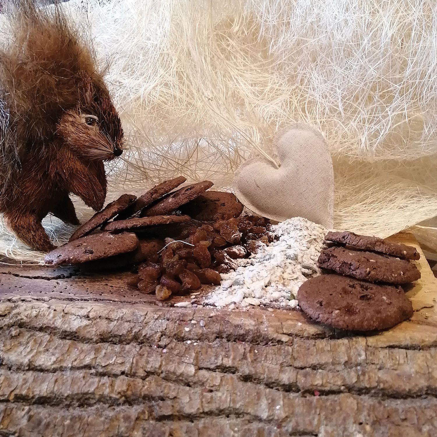 Langarolo cacao e nocciole